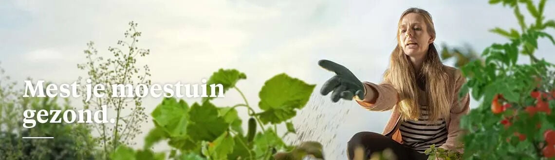 [paste advice page name here]